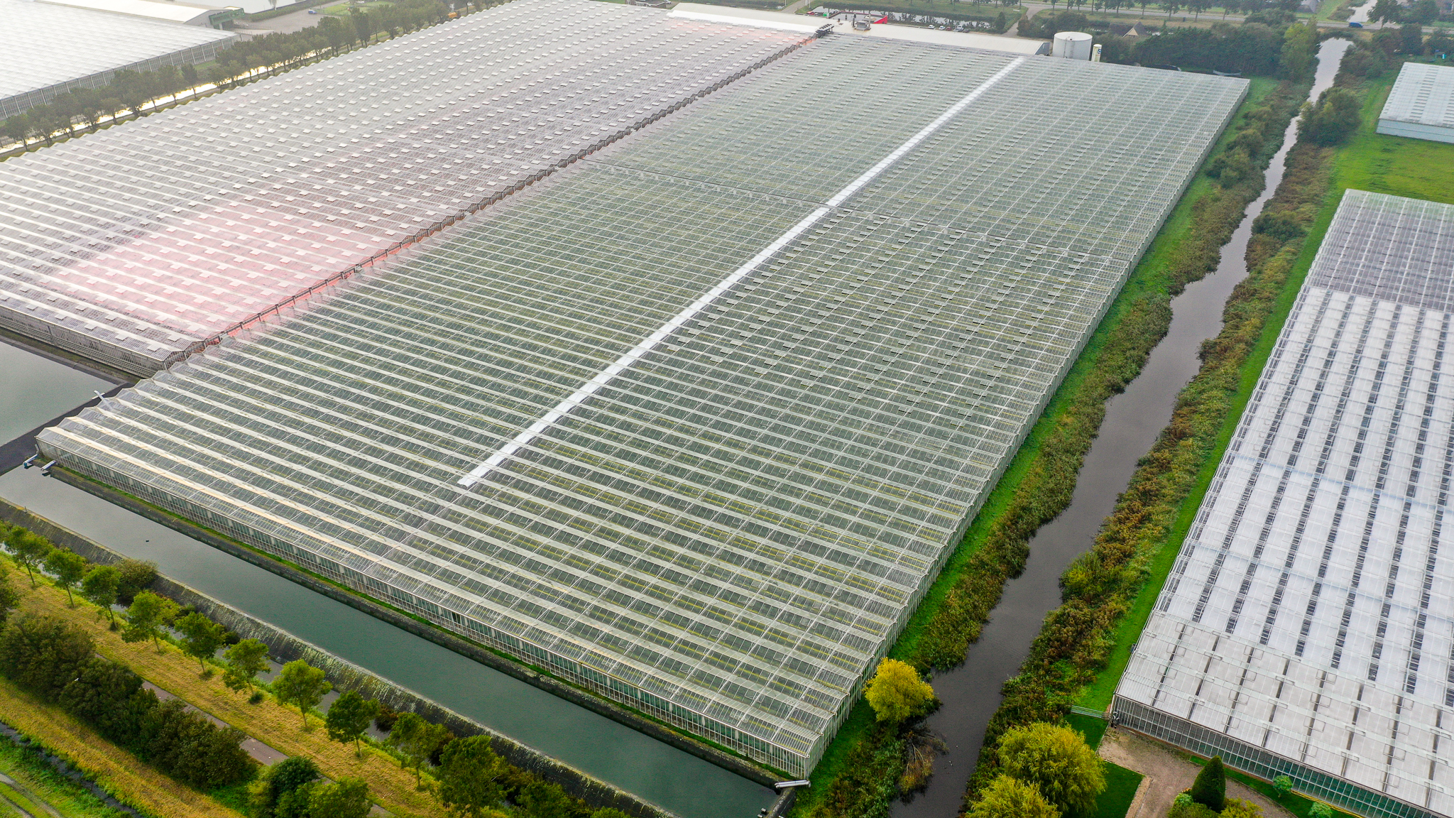 Venlo greenhouse 8,00 m 52.080 m²