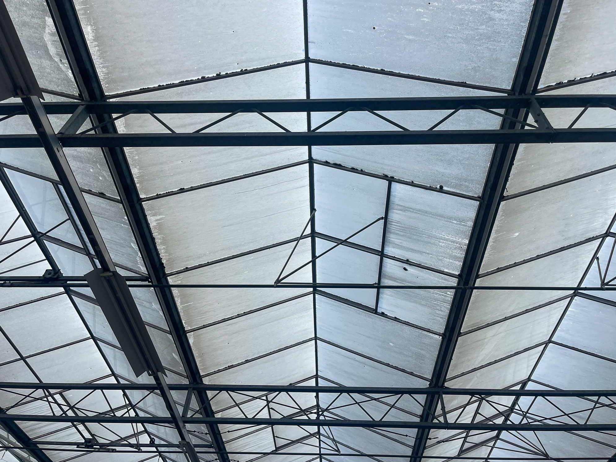 Venlo kas 12,80 m 922 m²