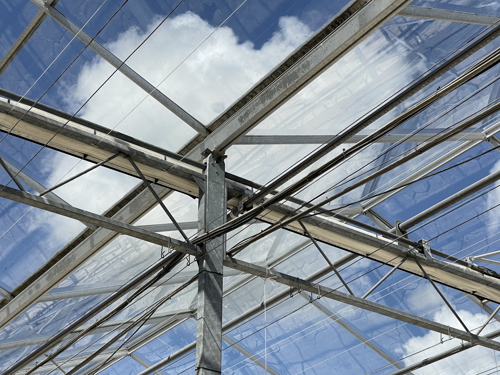 Venlo greenhouse 8,00 m 19.920 m²