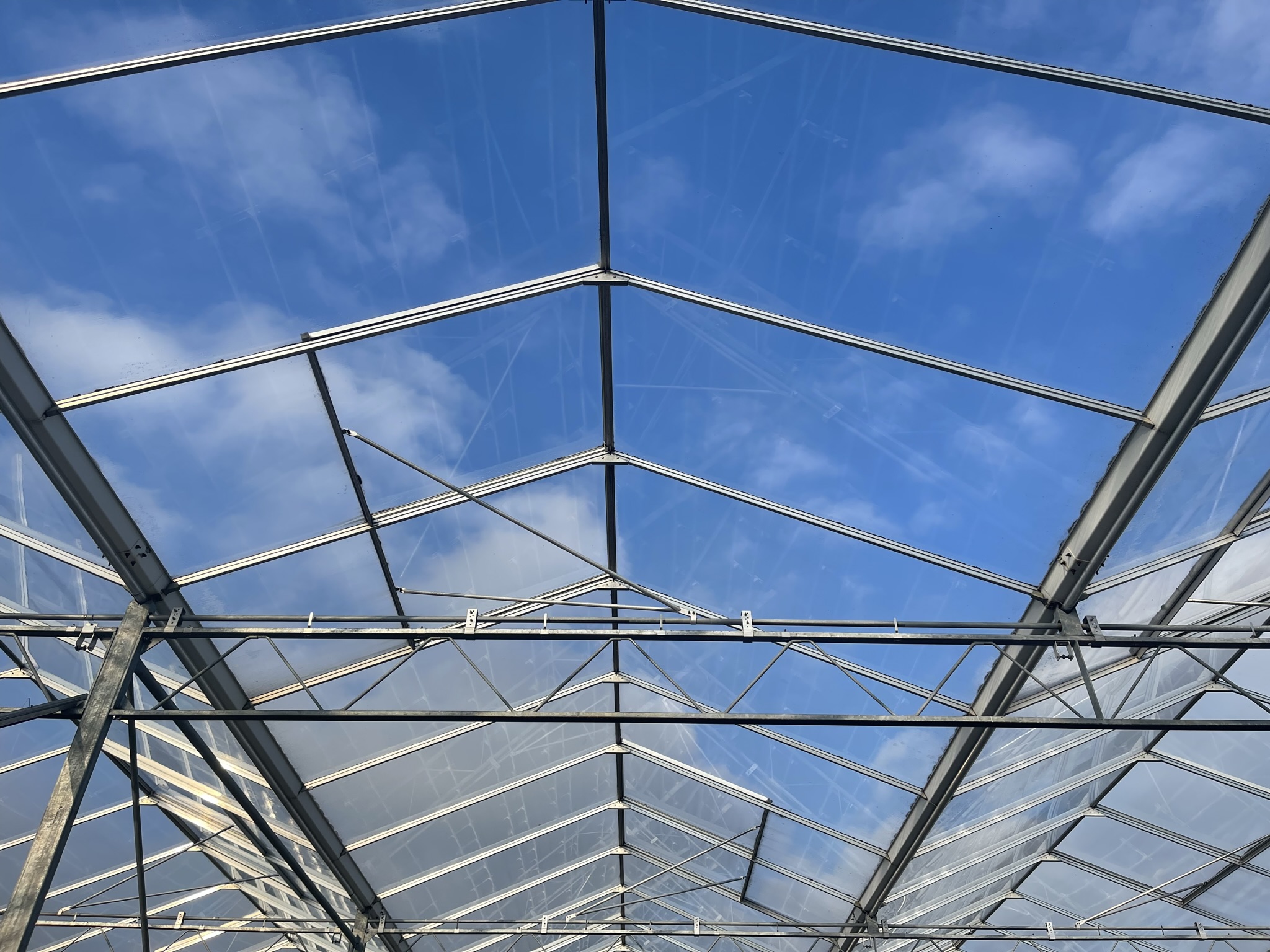 Venlo kas 8,00 m 19.008 m²