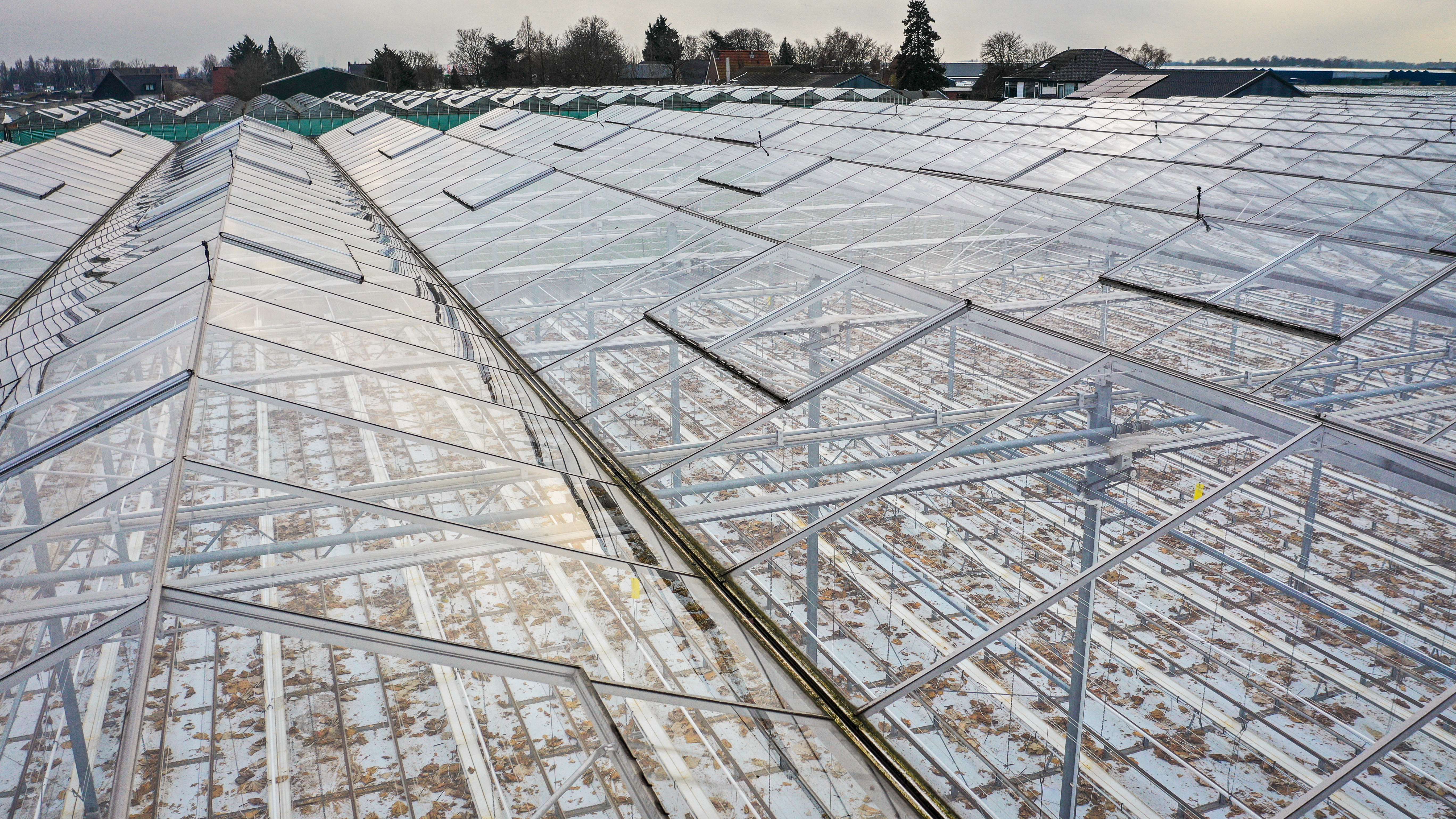 Venlo greenhouse 8,00 m 14.464 m²