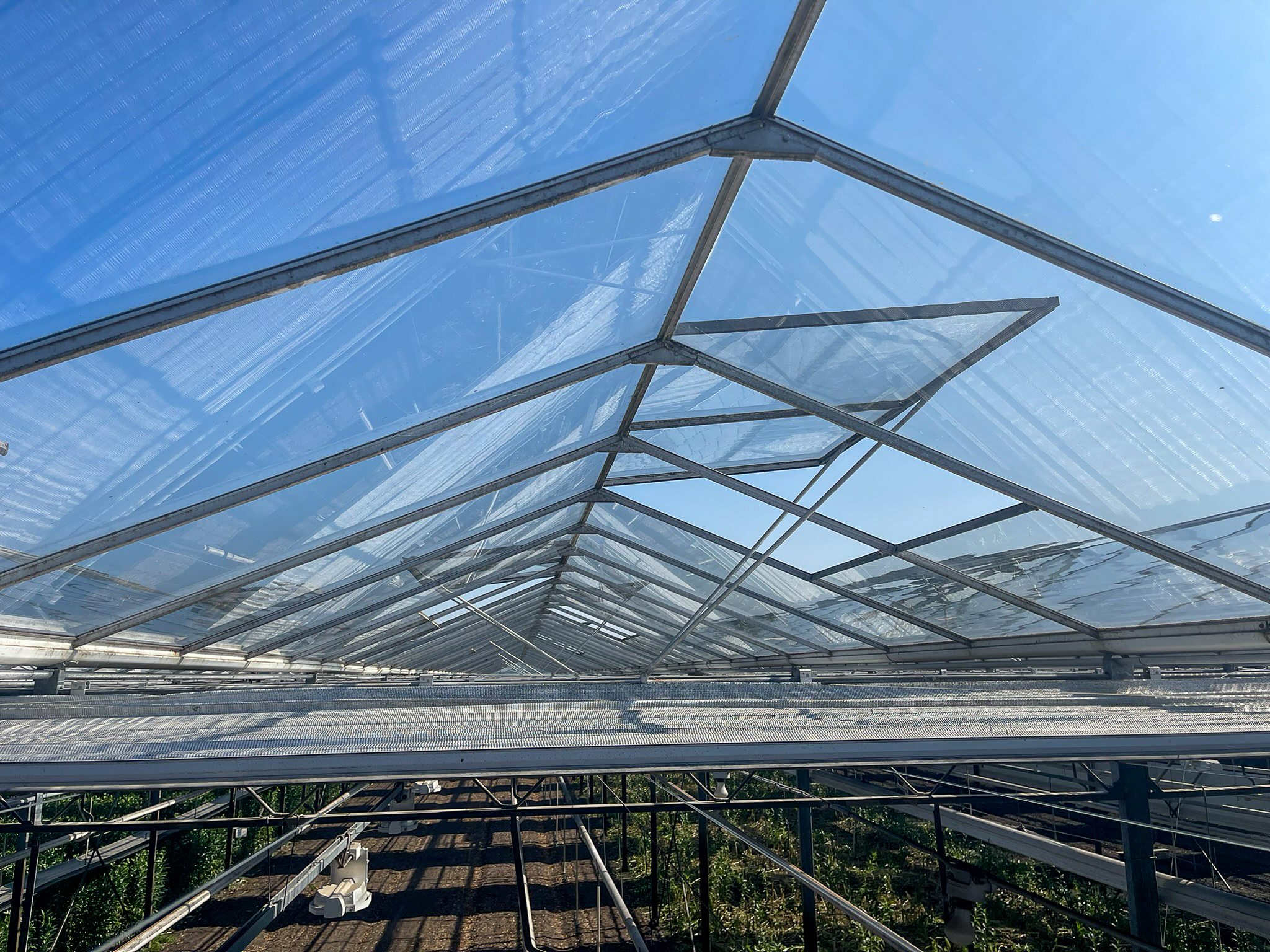 Venlo greenhouses 8,00 m 9.792 m²