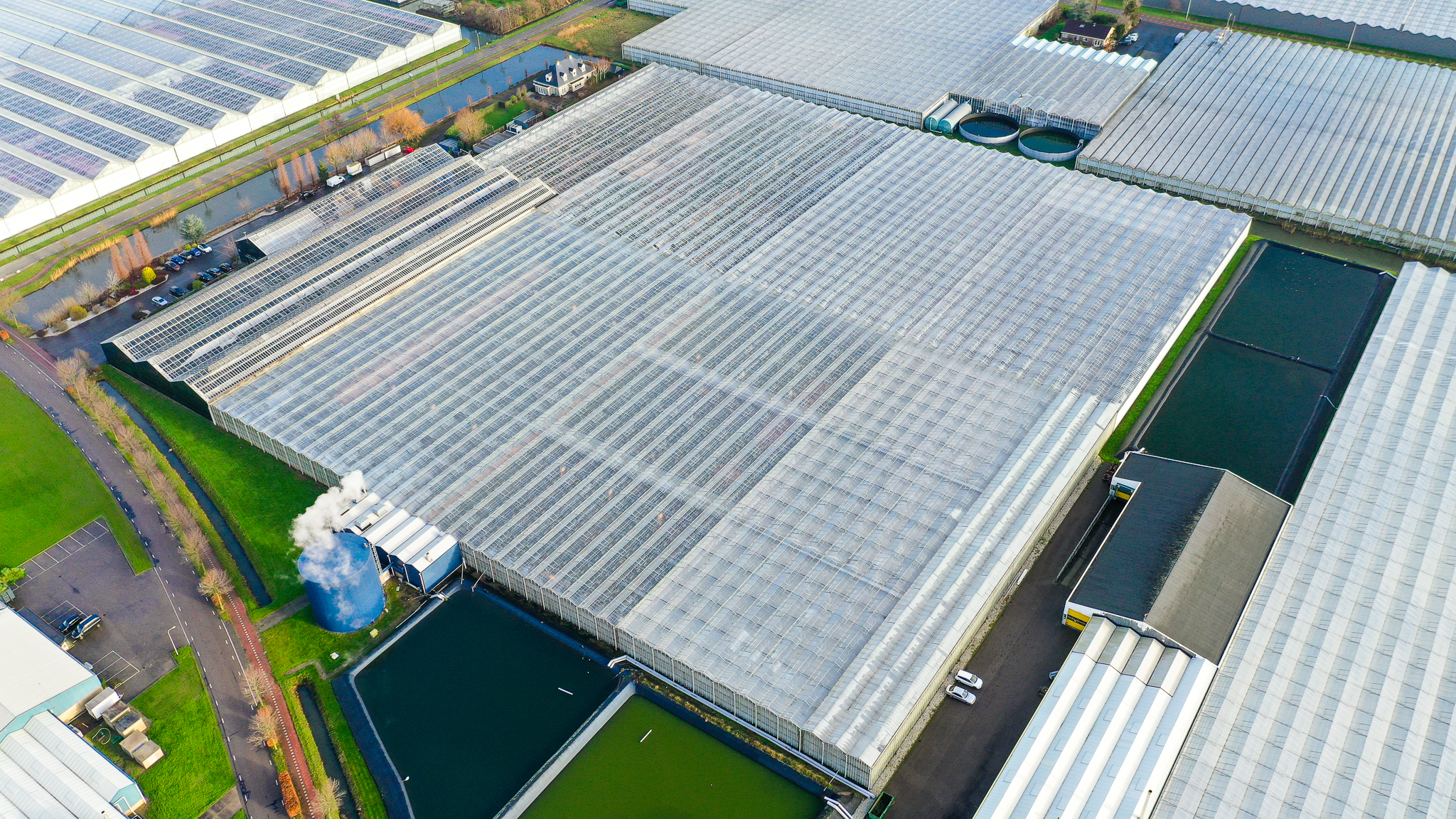 Venlo greenhouse 12,00 m 33.180 m²