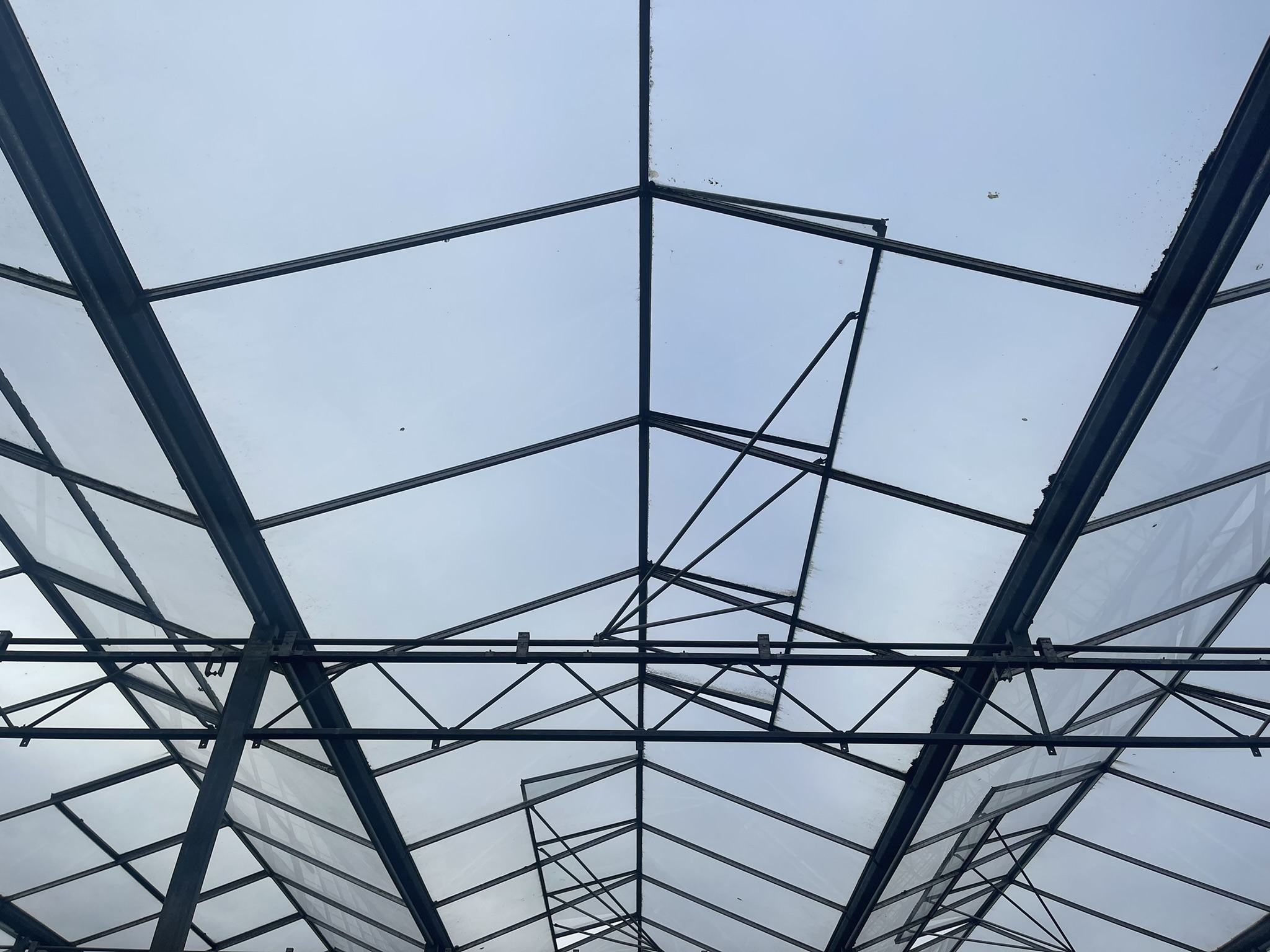 Venlo greenhouse 6,40 m 16.418 m²