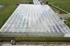 Venlo greenhouse 8,00 m 6.624 m²