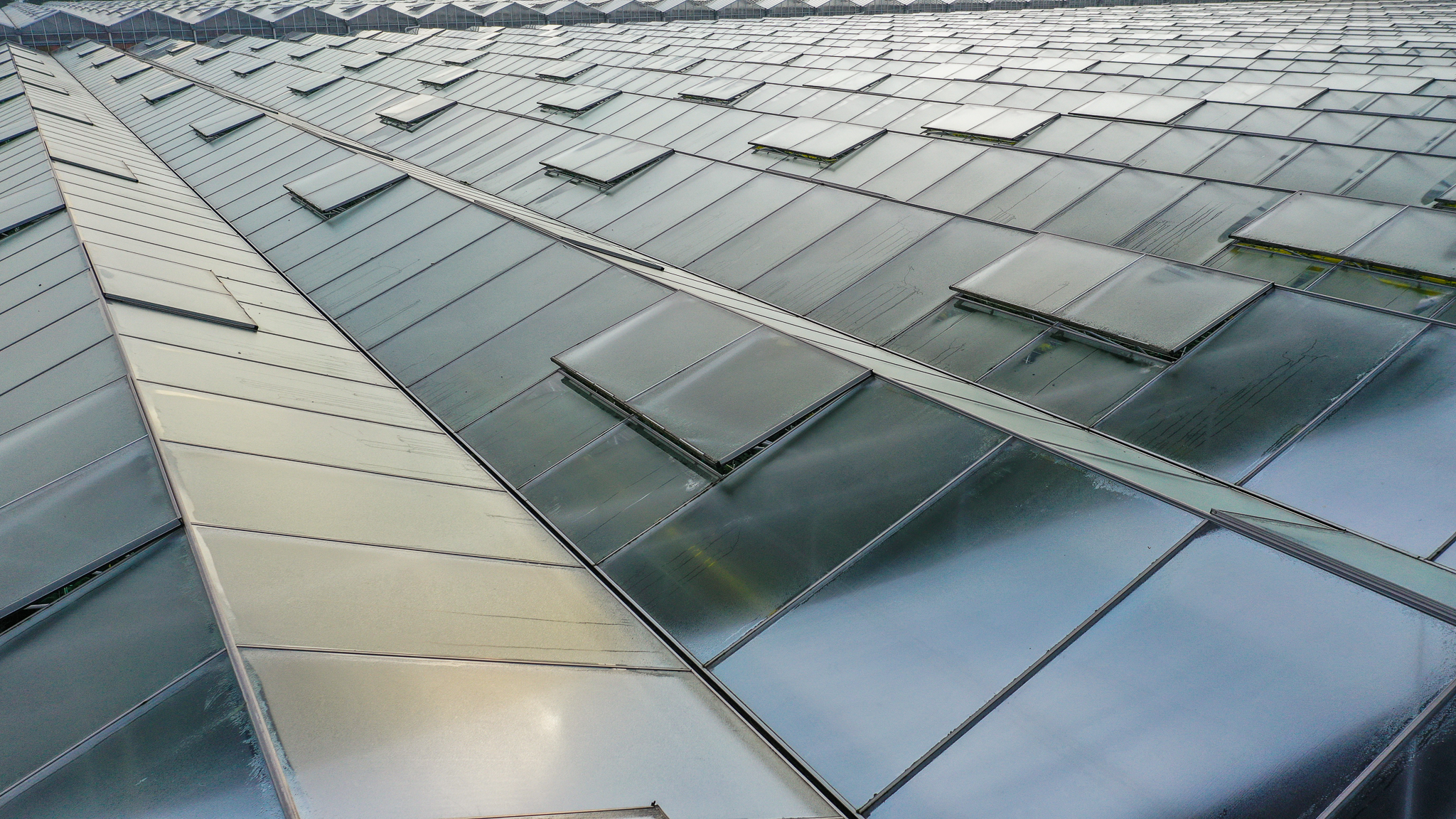 Venlo greenhouse 8,00 m 52.080 m²