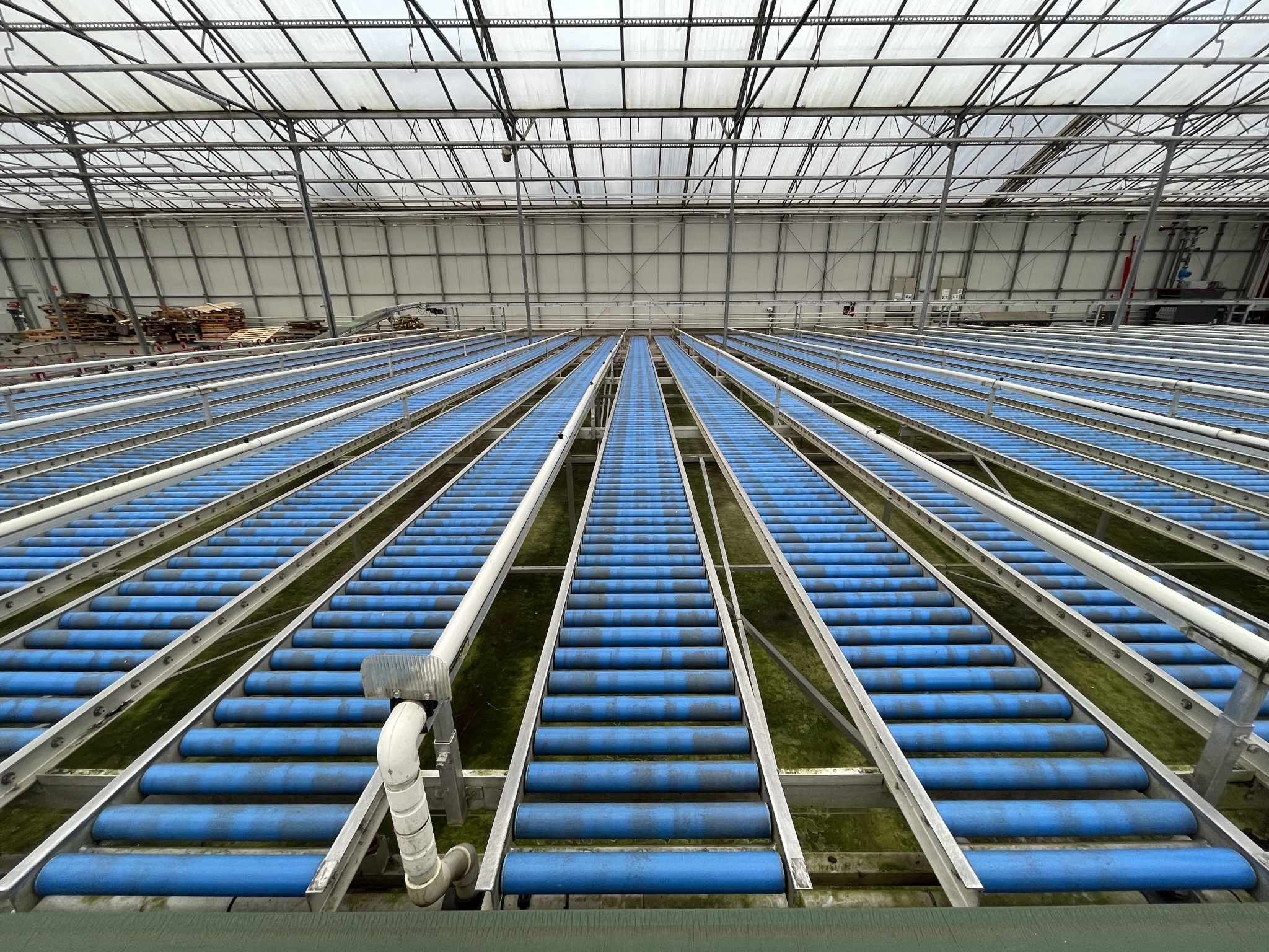 Rollenbaan afleversysteem