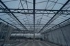 Venlo greenhouse 12,80 m 3.008 m²