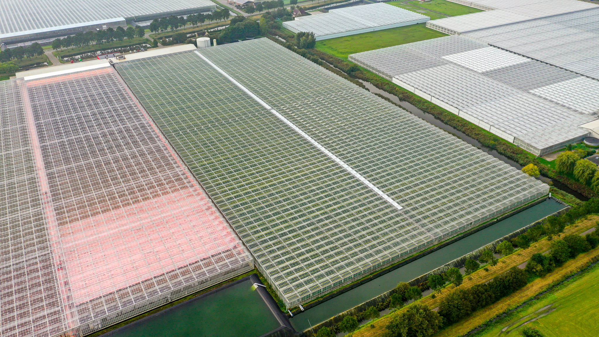Venlo greenhouse 8,00 m 52.080 m²