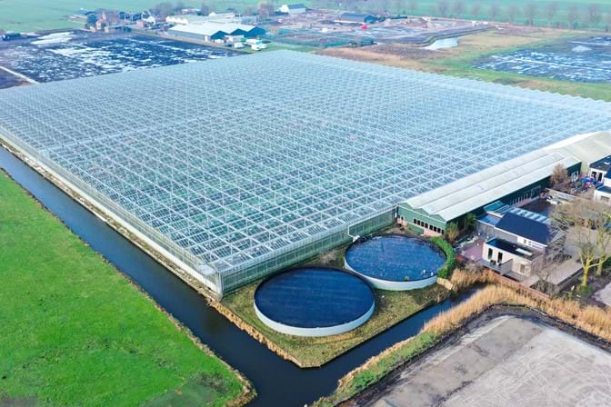 Venlo kas 8,00 m 31.440 m²