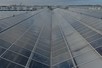 Widespan greenhouse 12,80 m 4.953 m²