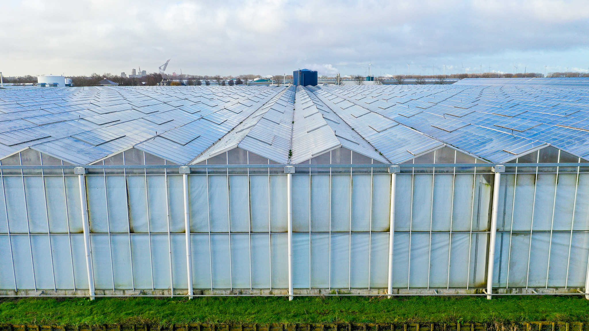 Venlo greenhouse 12,00 m 33.180 m²