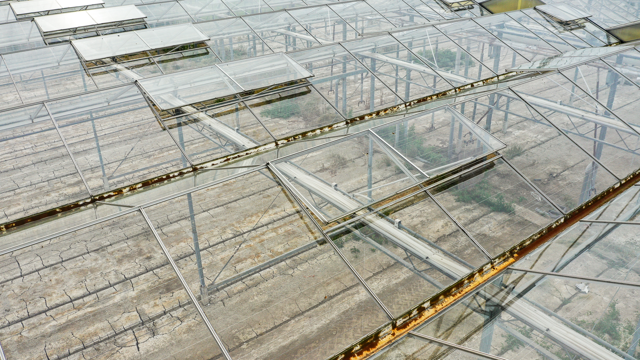 Venlo greenhouse 6,40m 6.134 m²
