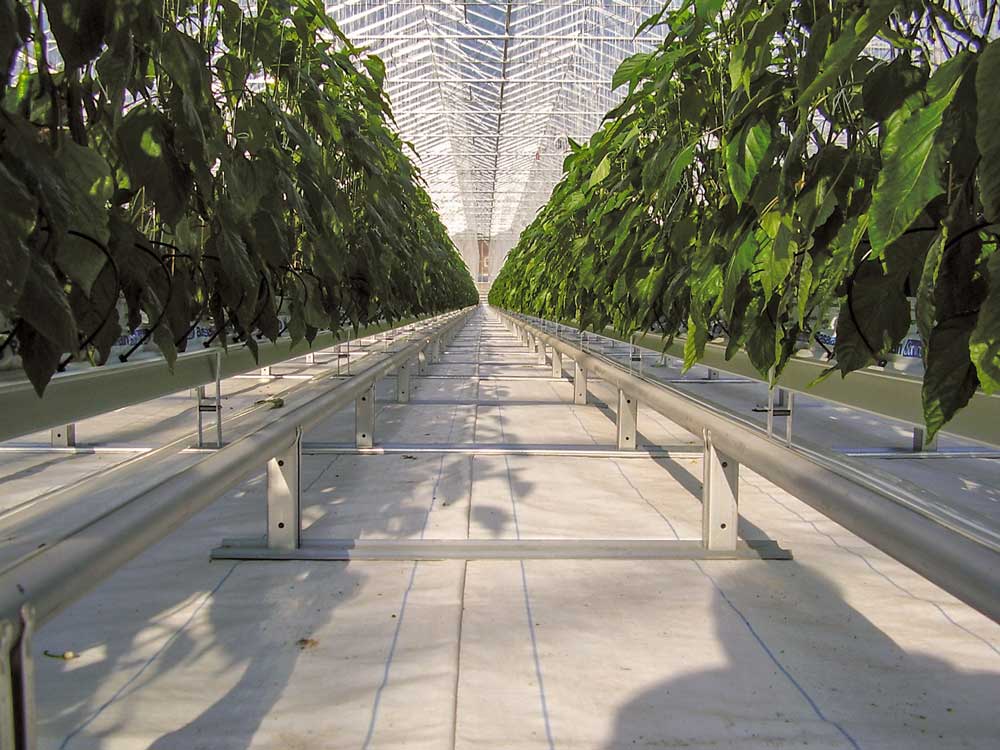 Pipe rail supports new