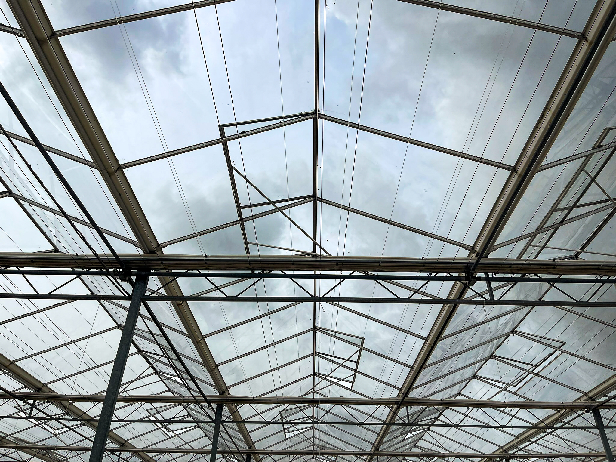 Venlo greenhouse 6,40m 6.134 m²