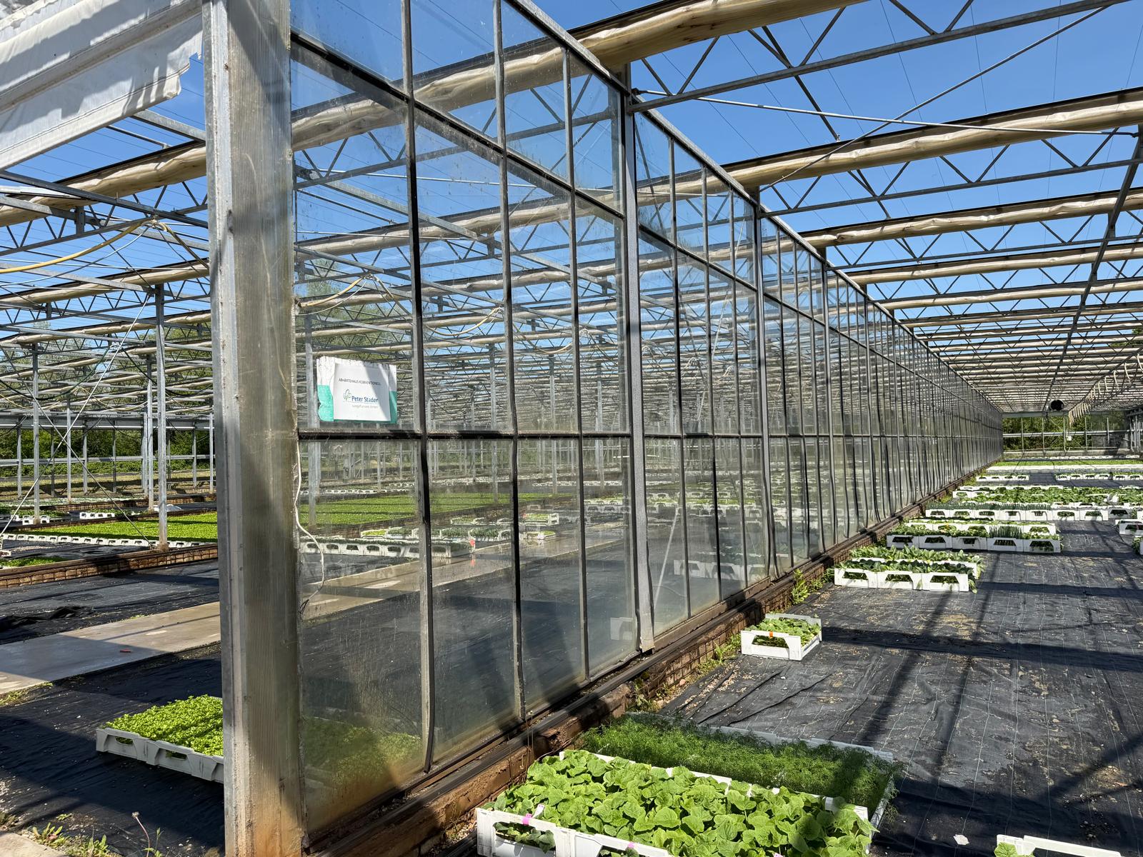 Shading greenhouse 7.517 m²