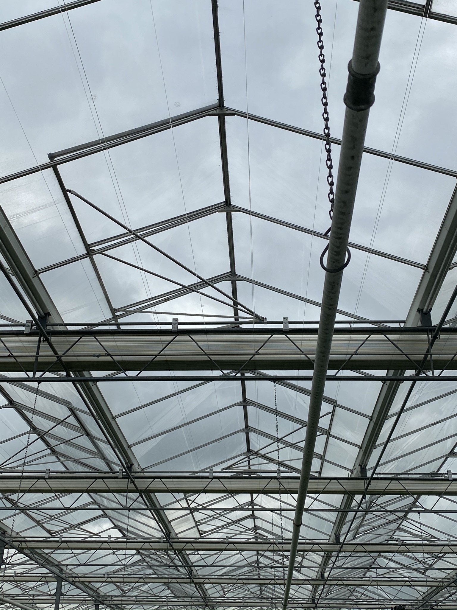 Venlo kas 9,60 m 11.124 m²