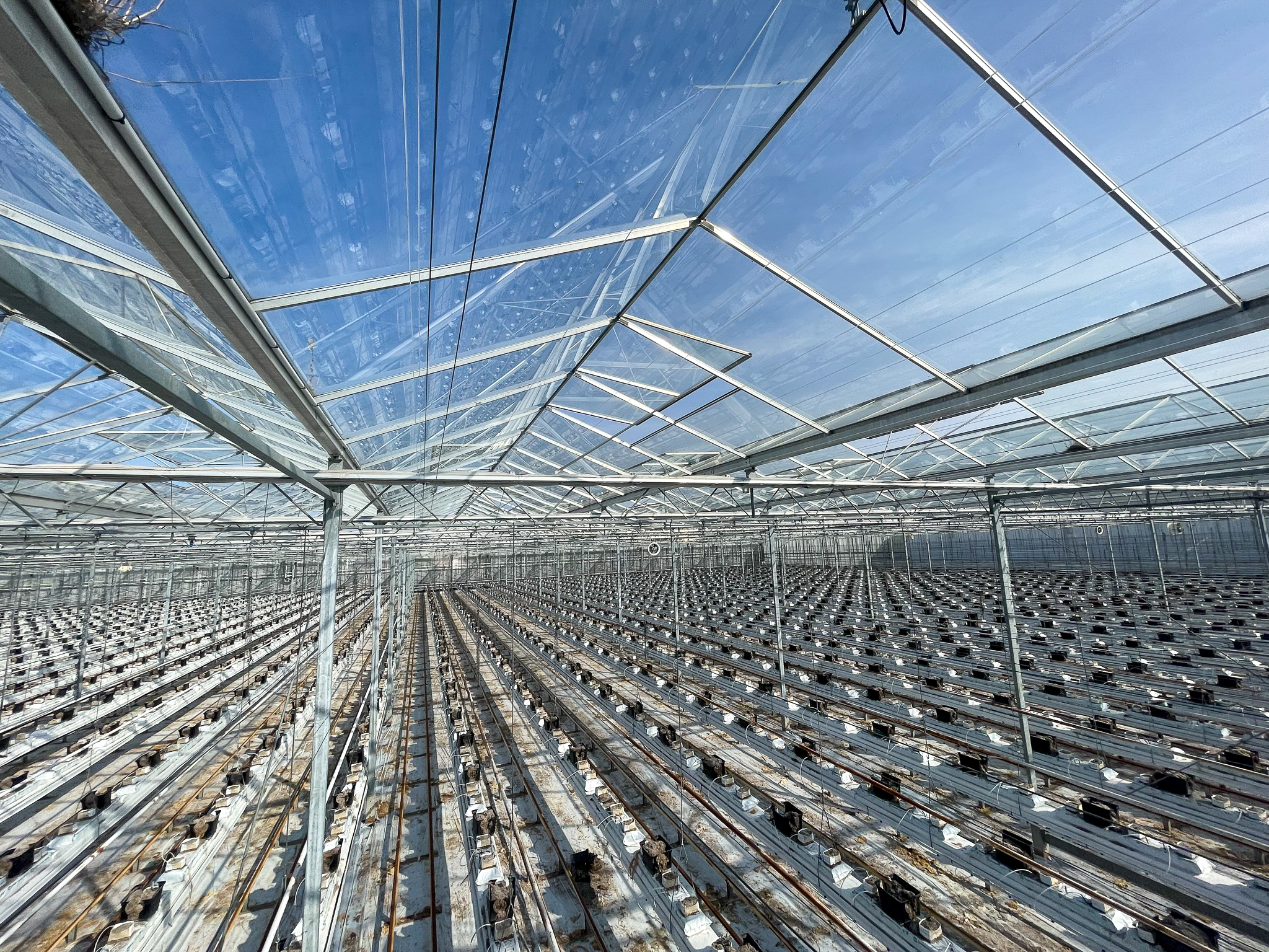 Venlo greenhouse 8,00 m 18.980 m²