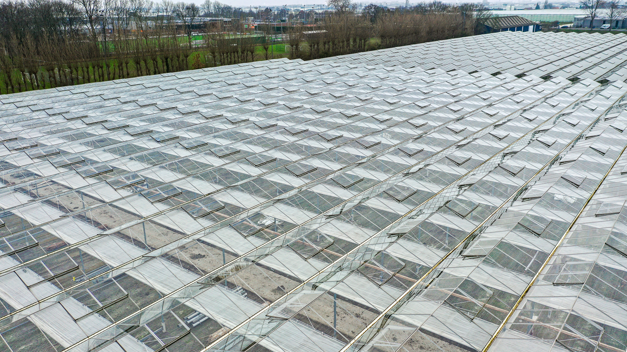 Venlo greenhouse 8,00 m 18.276 m²