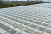 Venlo greenhouse 8,00 m 18.276 m²