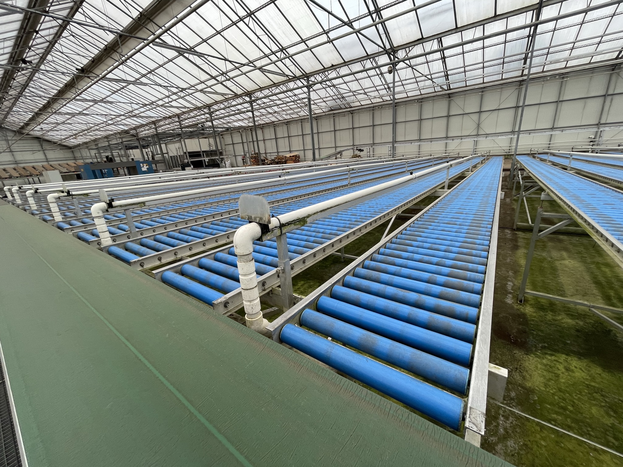 Rollenbaan afleversysteem