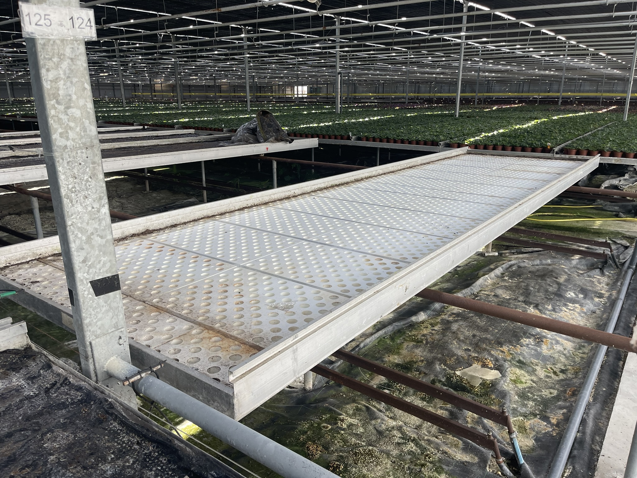 Aluminium rolcontainers incl. tempex bodem en bevloeiingsmat