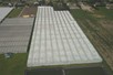 Venlo greenhouse 9,60 m 11.124 m²