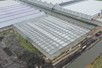 Venlo greenhouse 12,80 m 3.008 m²