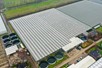 Venlo greenhouse 8,00 m 18.276 m²